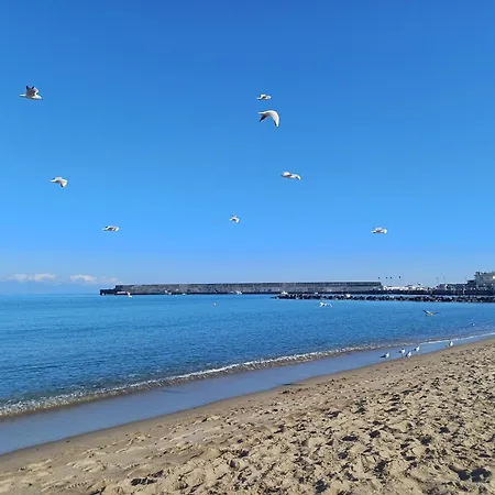 Апартаменты 49 - Da Frank *